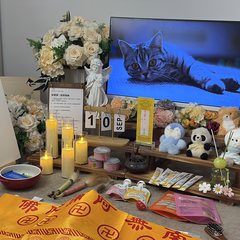 宠物家长客户见证